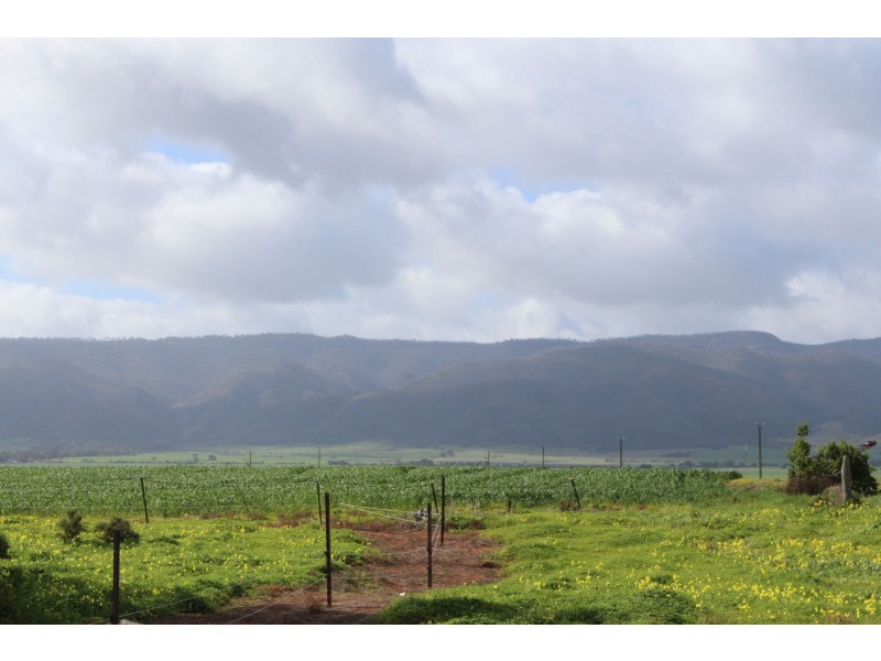 130 Tolosa Road, Telowie SA 5540