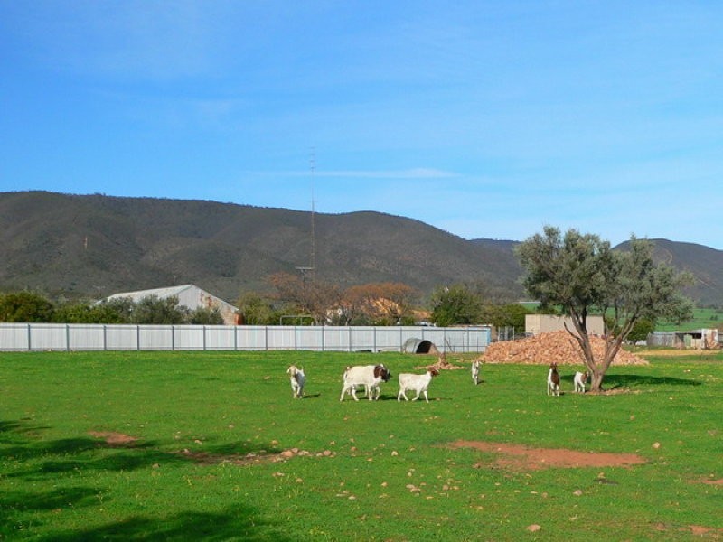 249 Scenic Drive, Napperby SA 5540