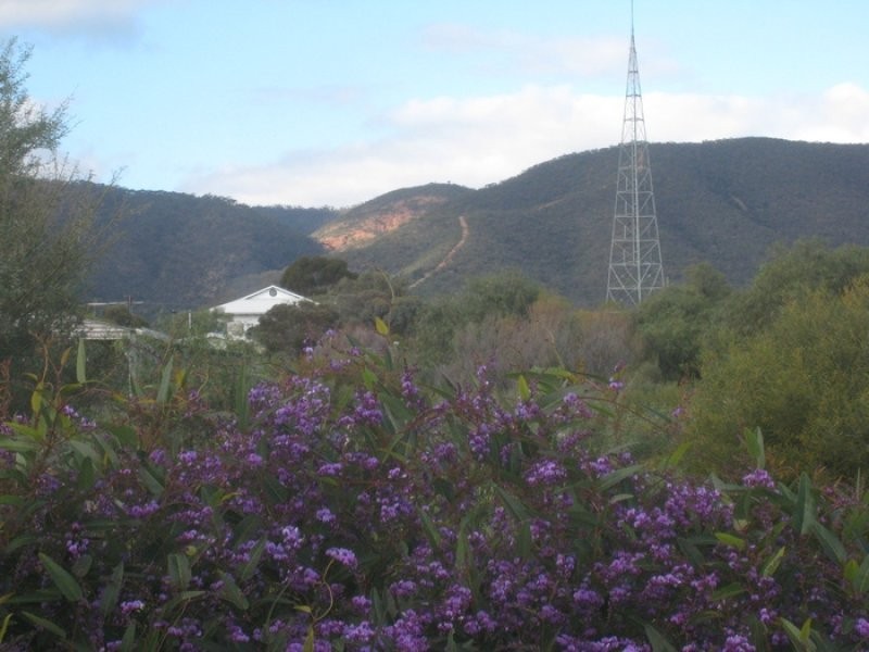 Lot 186 Third Street, Napperby SA 5540