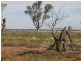 L13 Gulf View Road, Napperby SA 5540
