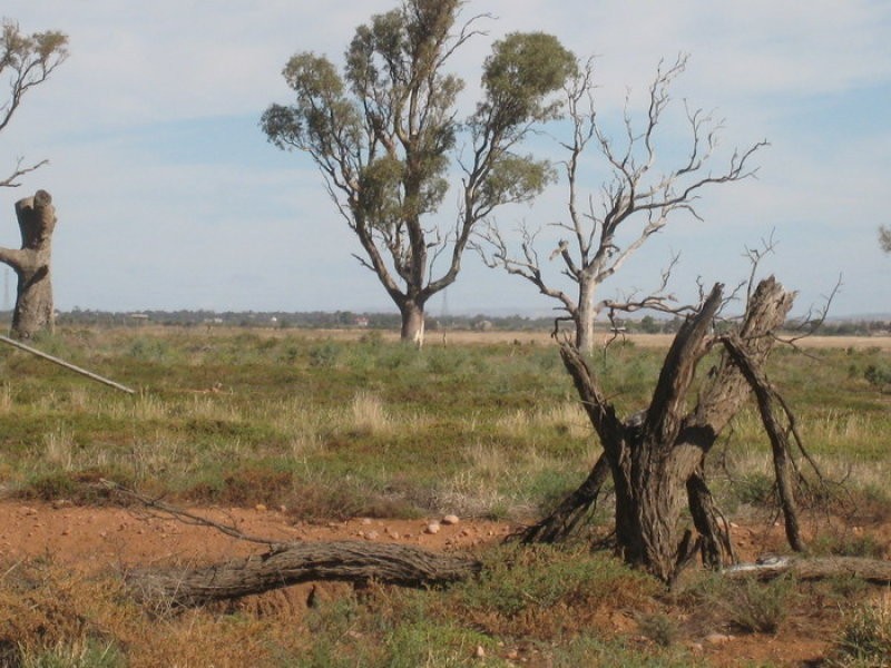 L13 Gulf View Road, Napperby SA 5540