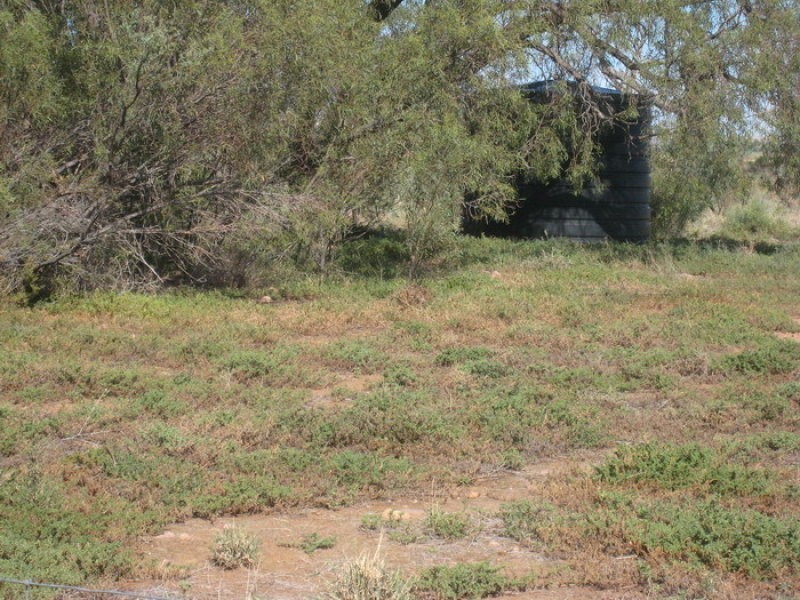 L13 Gulf View Road, Napperby SA 5540