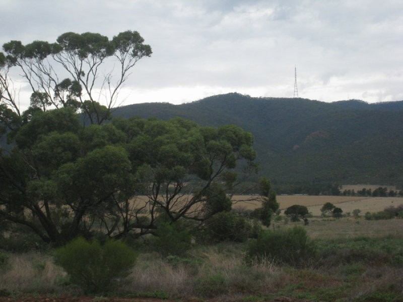 474 Scenic Drive, Nelshaby SA 5540