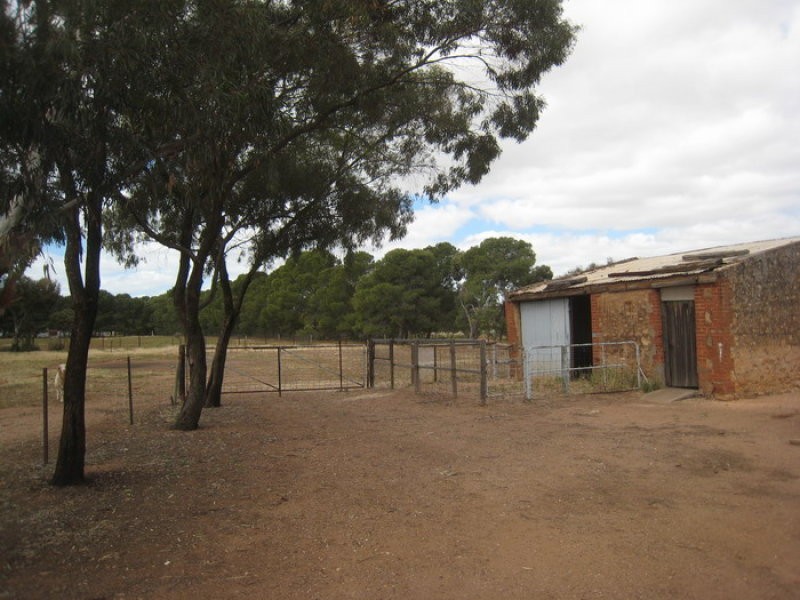 23 R F Nicholls Drive, Crystal Brook SA 5523