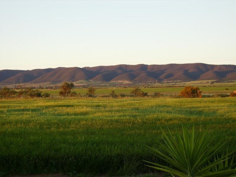 11338 Augusta Highway, Warnertown SA 5540