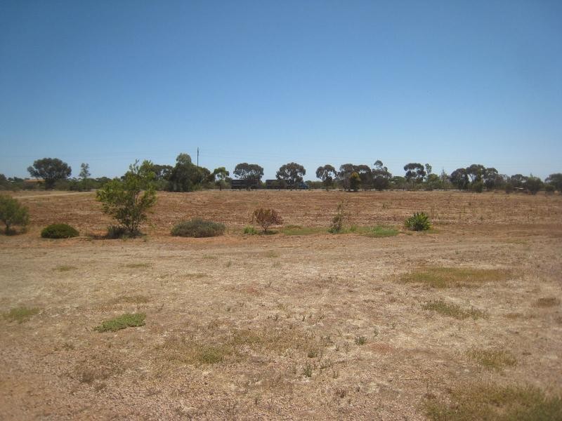 11338 Augusta Highway, Warnertown SA 5540