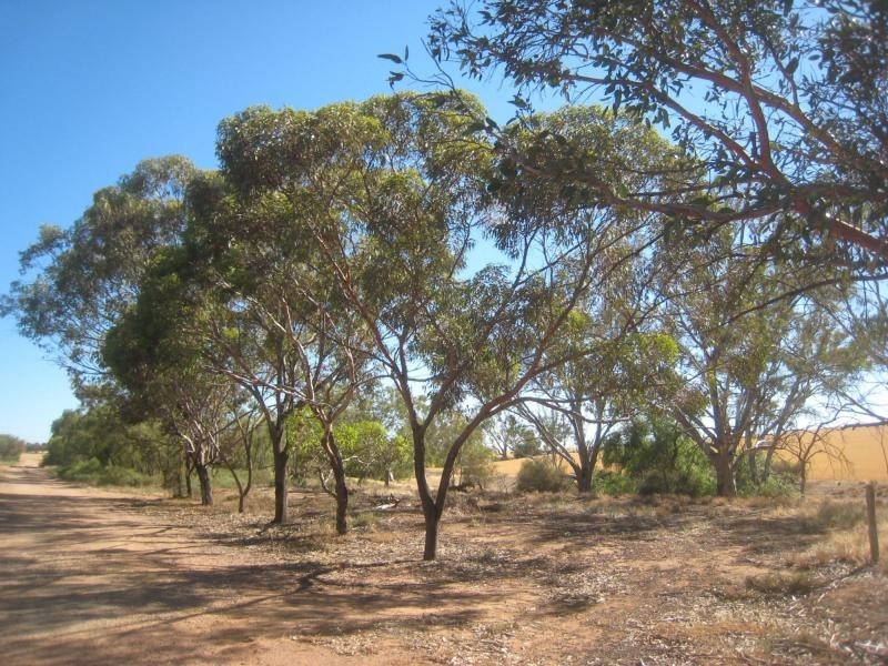 L639 The Whim Road, Nurom SA 5523