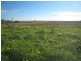 L560 Muster Drive, Napperby SA 5540
