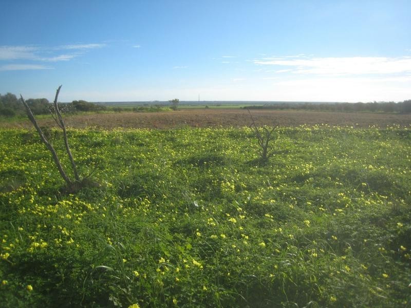 L560 Muster Drive, Napperby SA 5540