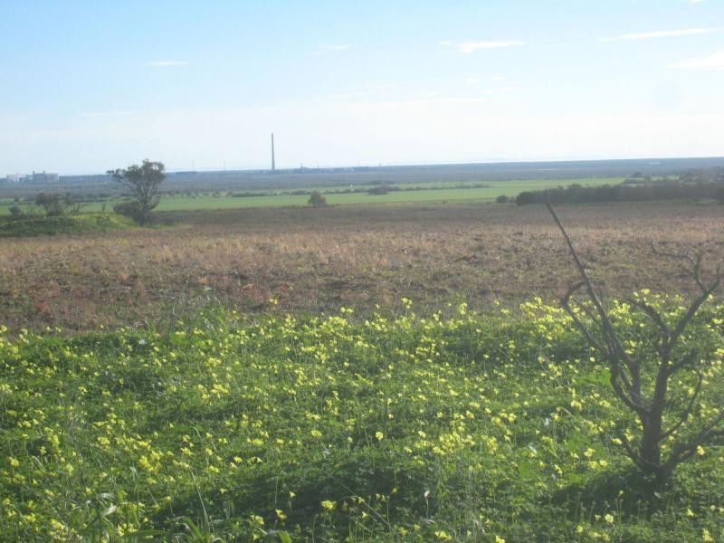 L560 Muster Drive, Napperby SA 5540