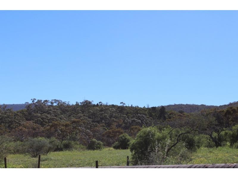 20N. Government Road, Telowie SA 5540