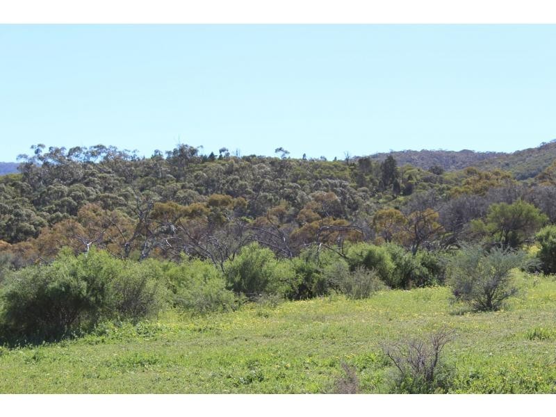 20N. Government Road, Telowie SA 5540