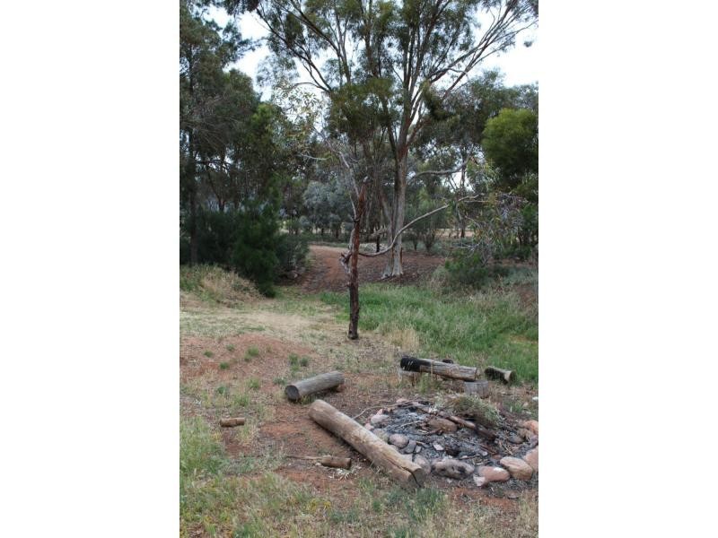 48 Bain Avenue, Napperby SA 5540