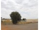 310 Three Chain Road, Port Pirie SA 5540