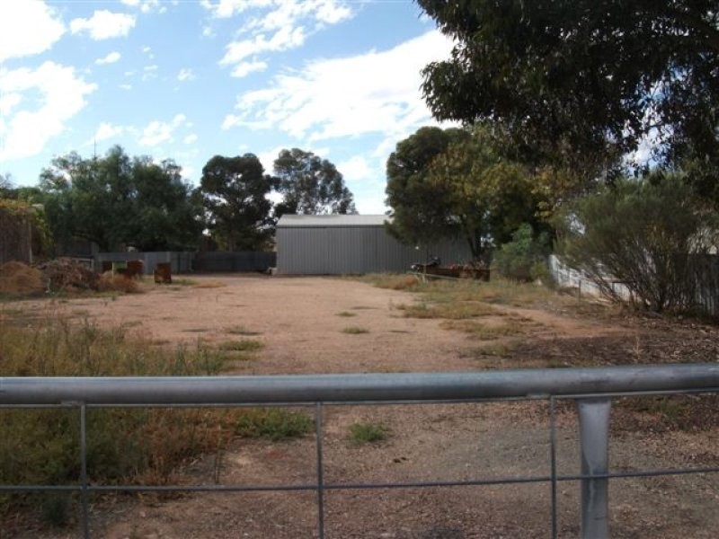 62 Railway Terrace East, Snowtown SA 5520