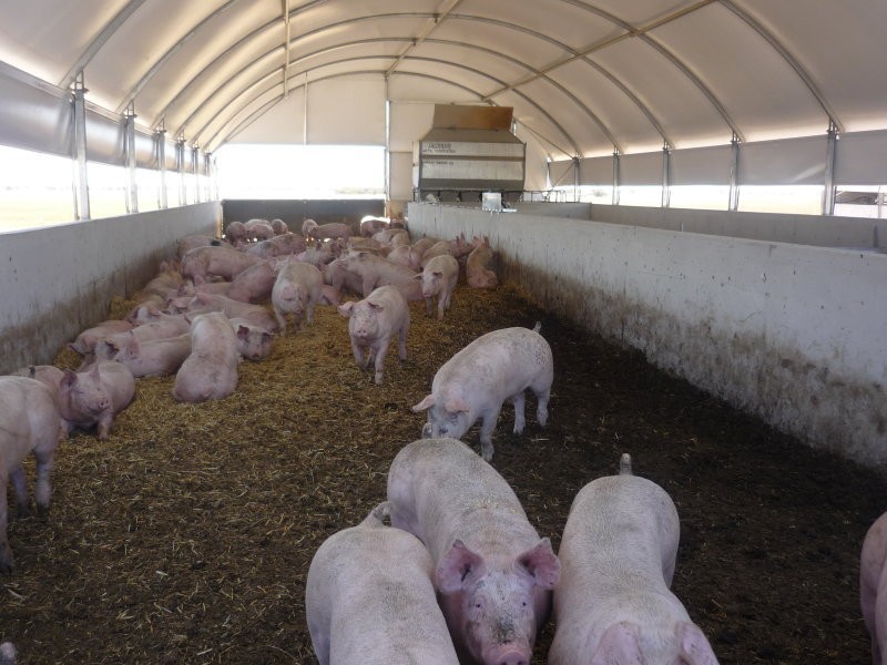 1 Minlaton Road, Port Vincent SA 5581