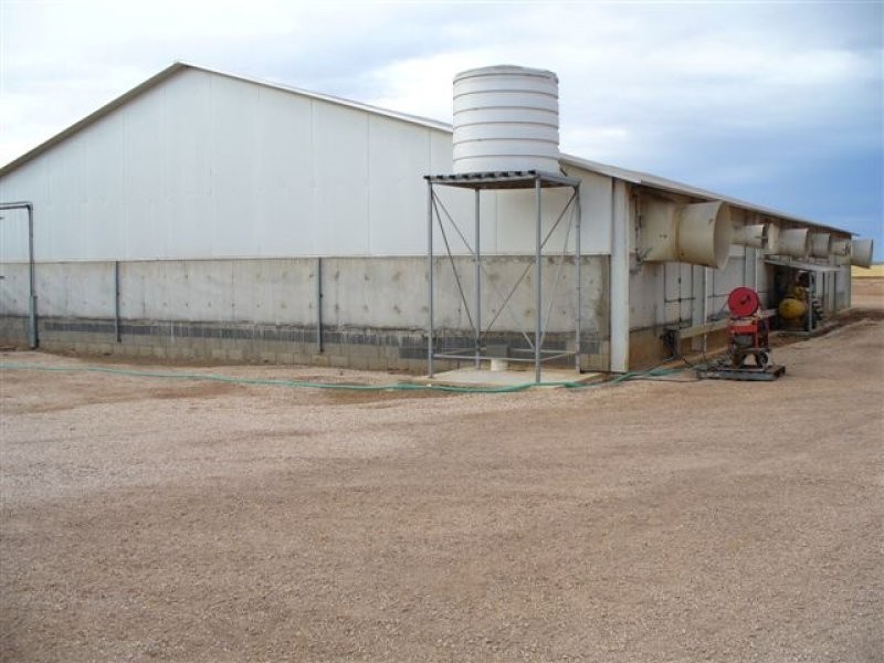 1 Minlaton Road, Port Vincent SA 5581