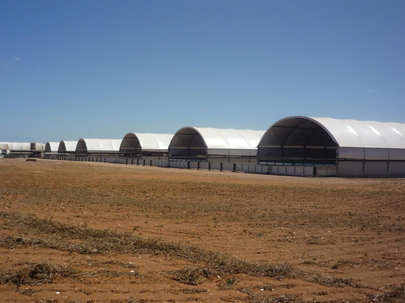 1 Minlaton Road, Port Vincent SA 5581