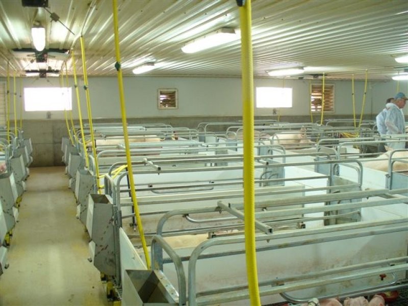 1 Minlaton Road, Port Vincent SA 5581