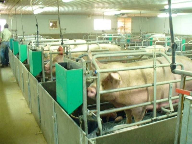 1 Minlaton Road, Port Vincent SA 5581