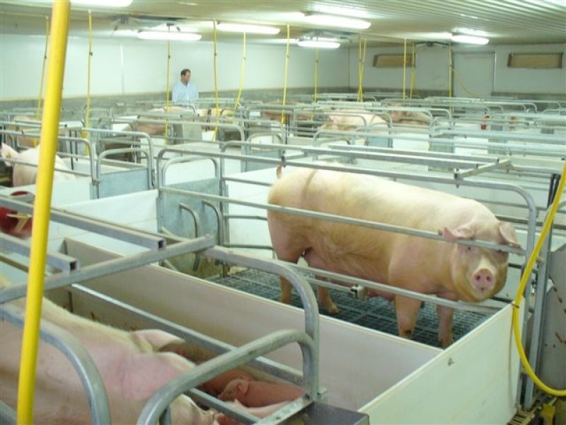 1 Minlaton Road, Port Vincent SA 5581