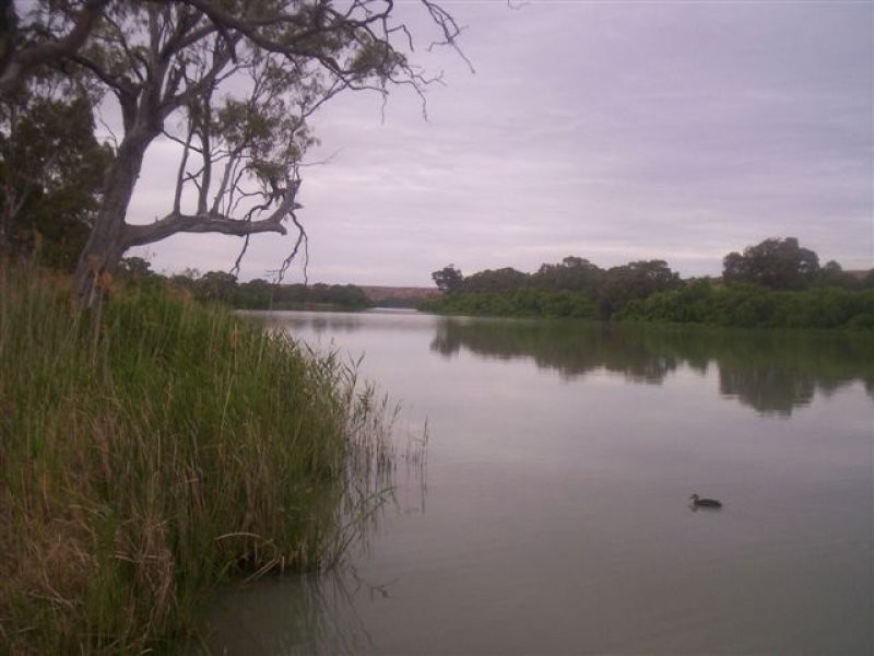 1 Evans Terrace, Purnong SA 5238