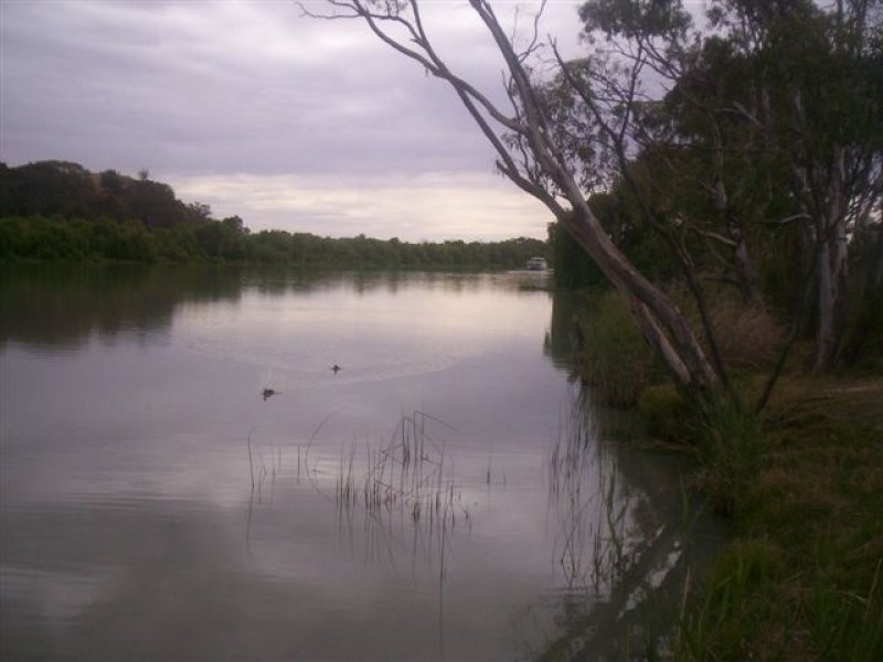 1 Evans Terrace, Purnong SA 5238