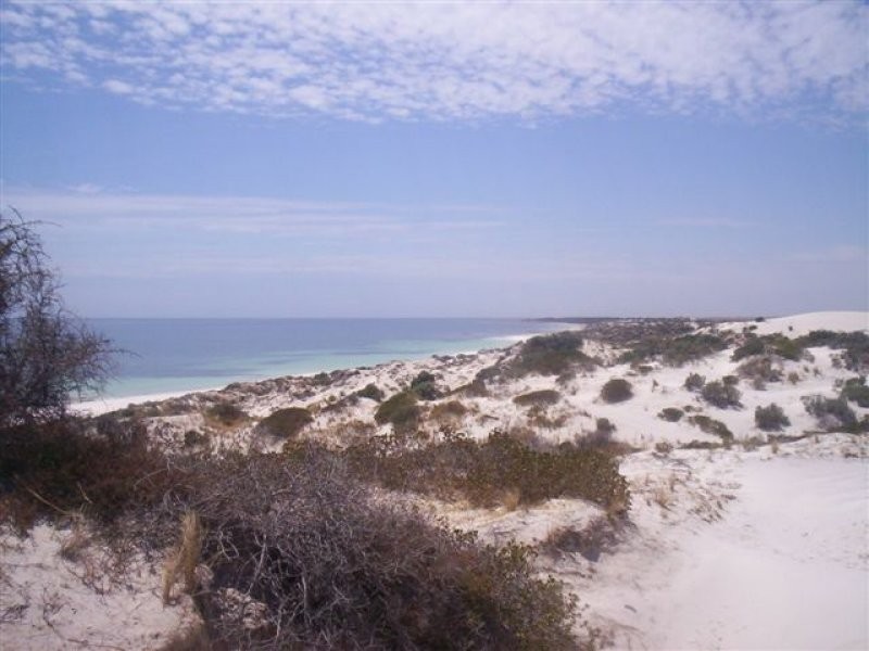 Lot 11 Bush Track, Bluff Beach SA 5575