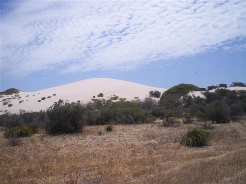 Lot 11 Bush Track, Bluff Beach SA 5575