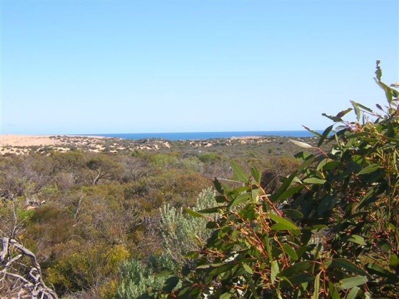 1 Talia Caves Road, Talia SA 5670