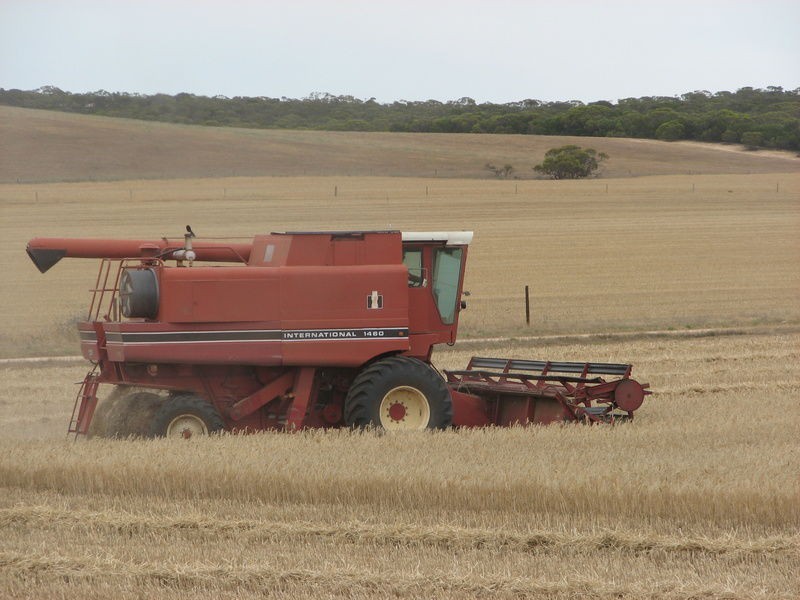 856 Parrakie North Road, Parrakie SA 5301