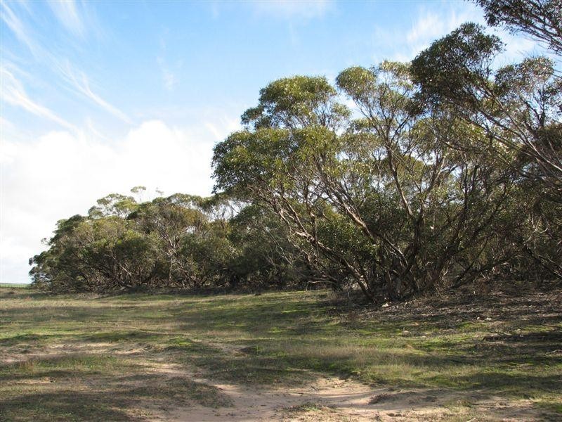 1 Day Road, Lameroo SA 5302