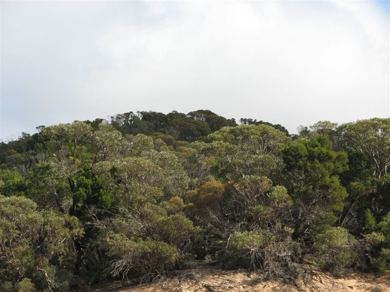 1 Day Road, Lameroo SA 5302