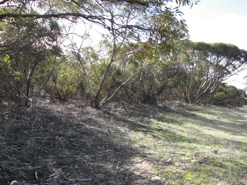 1 Day Road, Lameroo SA 5302