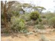 500 OTC Road, Ceduna SA 5690