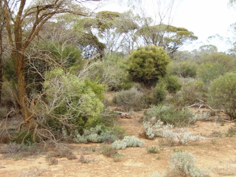 500 OTC Road, Ceduna SA 5690