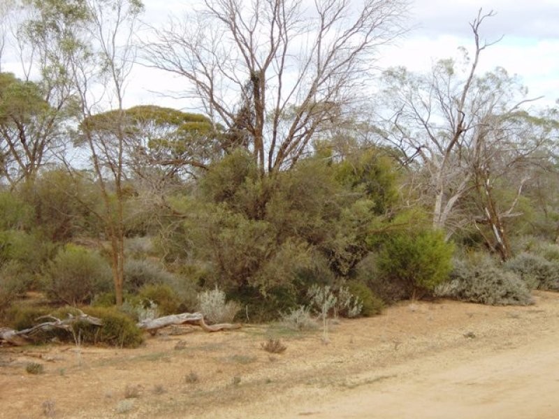 500 OTC Road, Ceduna SA 5690