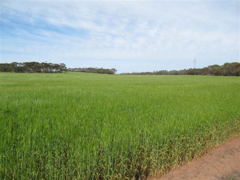 1 Government Road, Ungarra SA 5607