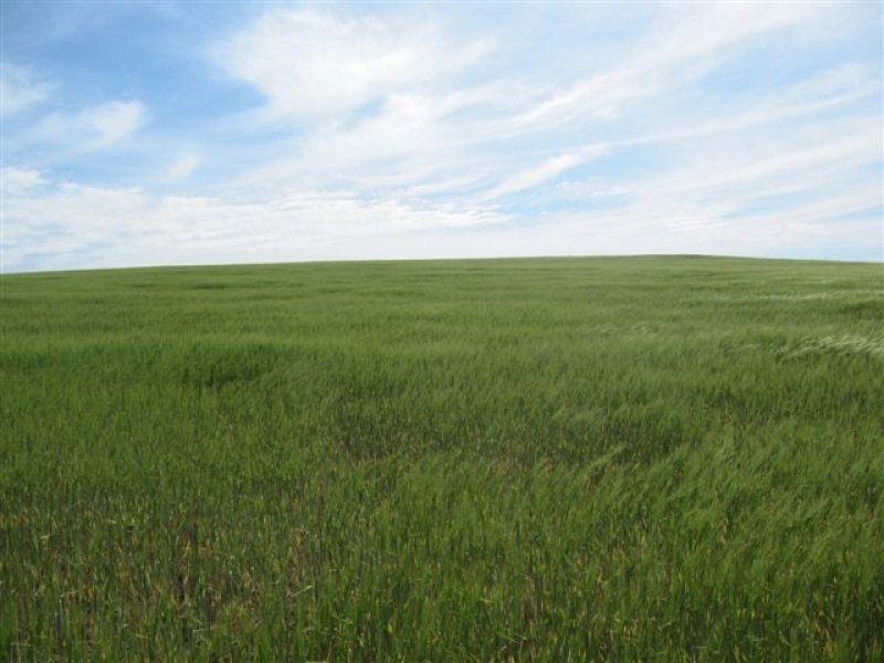 1 Government Road, Ungarra SA 5607