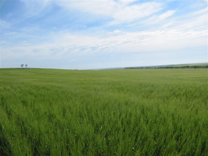 1 Government Road, Ungarra SA 5607