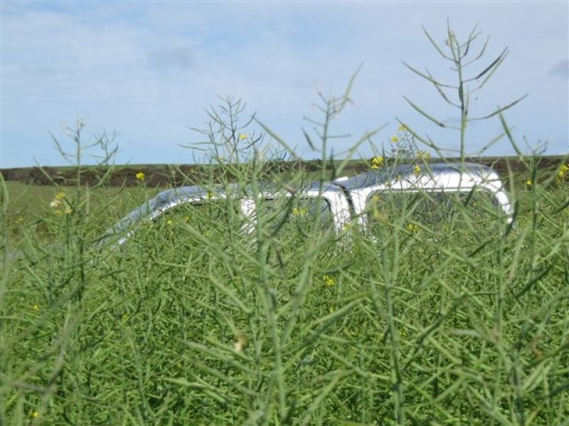 1 Government Road, Ungarra SA 5607