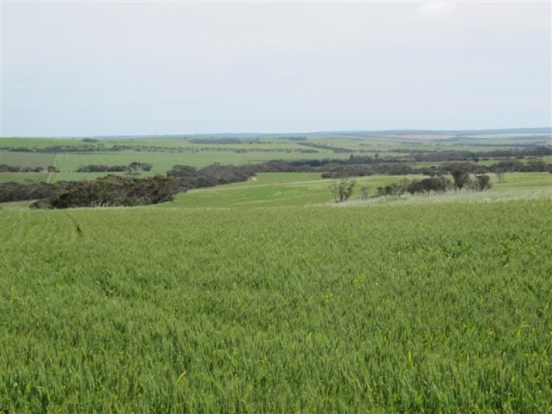 1 Government Road, Ungarra SA 5607