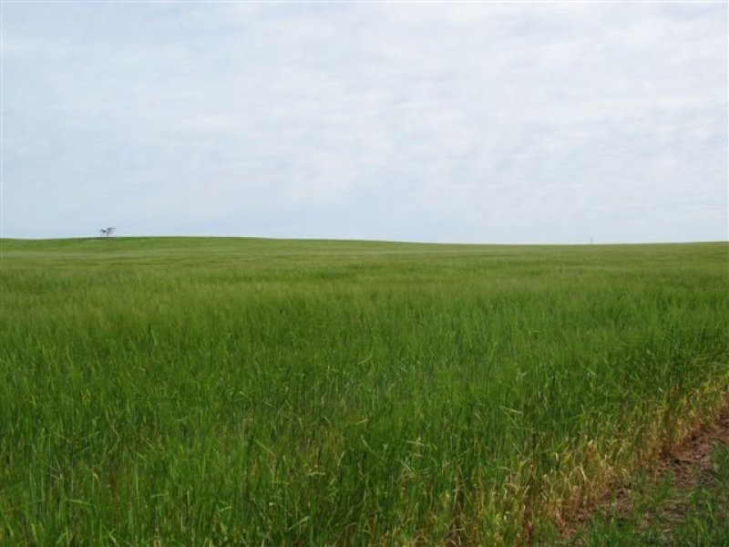 1 Government Road, Ungarra SA 5607