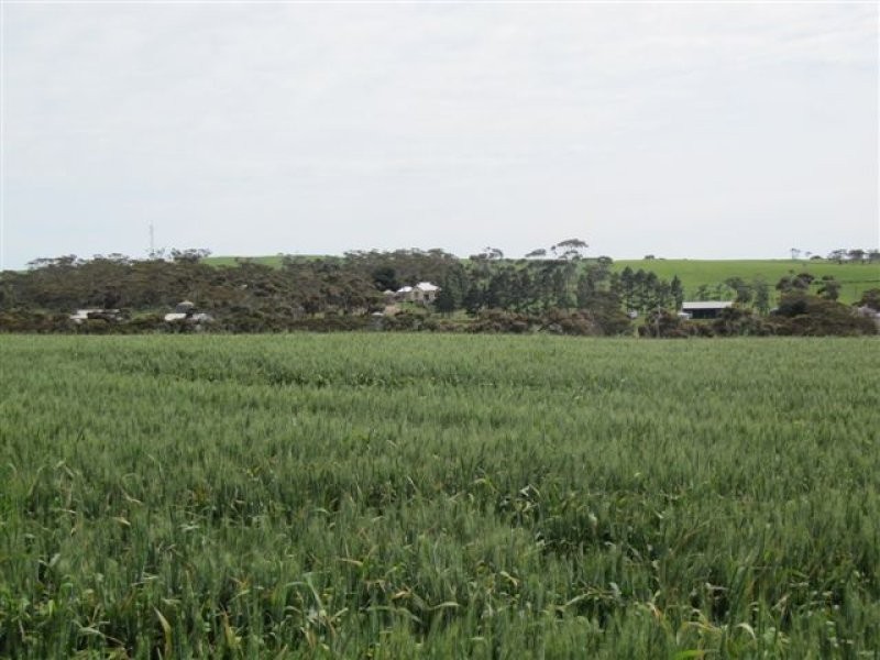 1 Government Road, Ungarra SA 5607