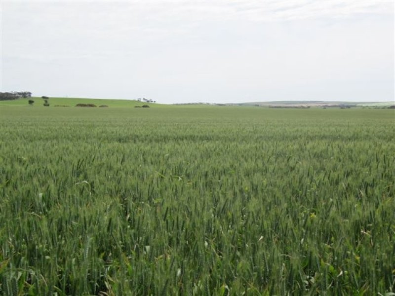 1 Government Road, Ungarra SA 5607