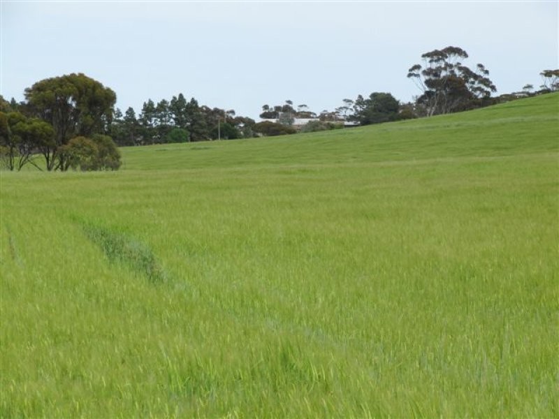 1 Government Road, Ungarra SA 5607