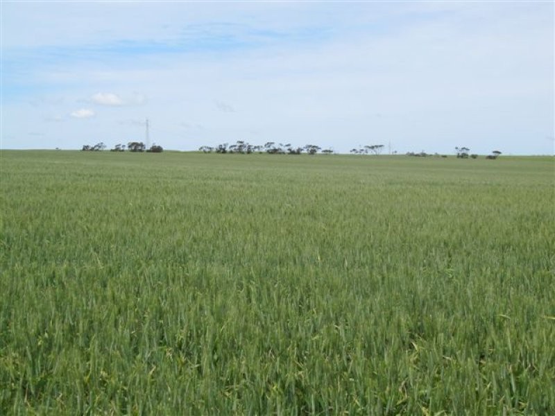 1 Government Road, Ungarra SA 5607