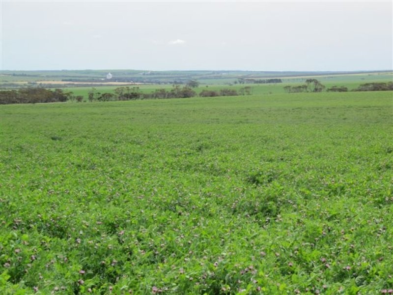 1 Government Road, Ungarra SA 5607