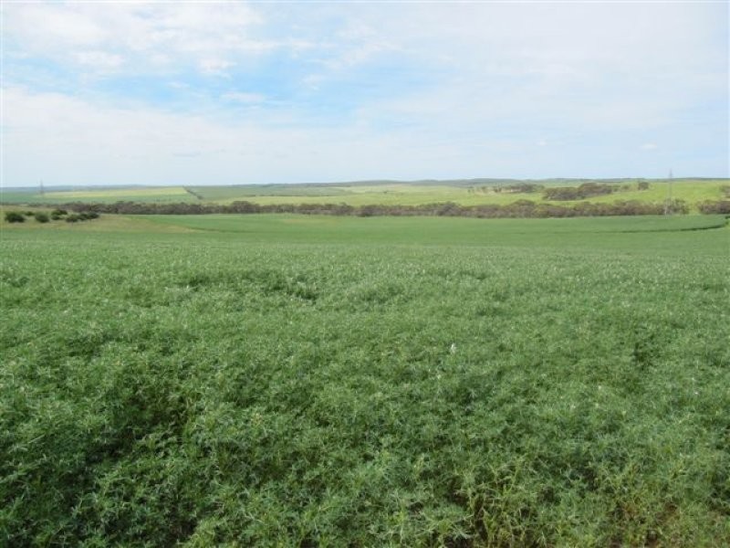 1 Government Road, Ungarra SA 5607