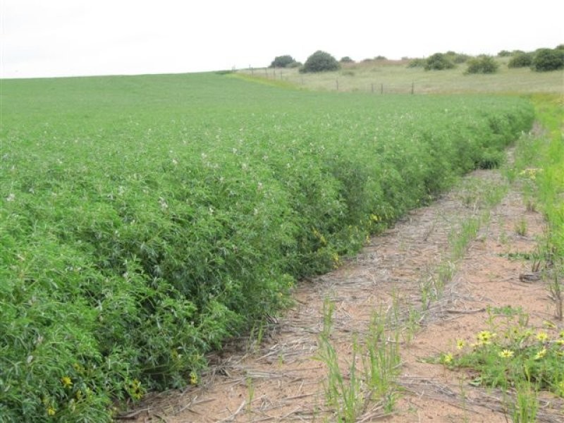 1 Government Road, Ungarra SA 5607